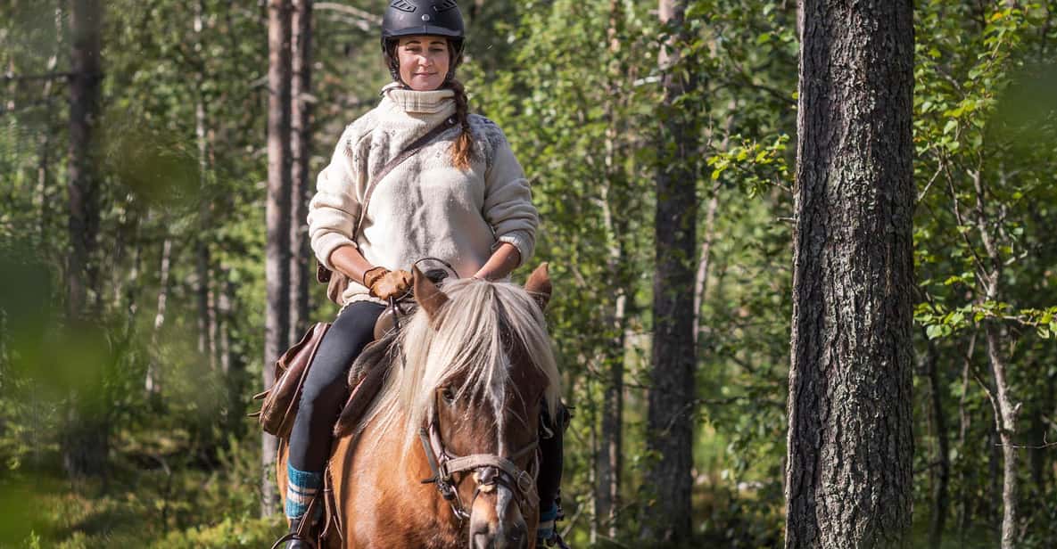 Levi: Evening Horseback Ride with Northern Lights | GetYourGuide