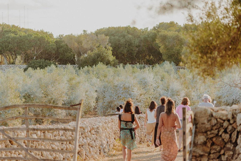 Menorca: Olive Oil Experience in Binissaida with Guided Tasting