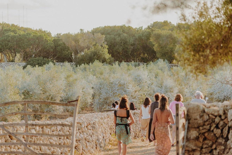 Menorca: Olive Oil Experience in Binissaida with Guided Tasting