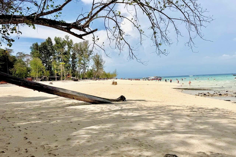 Krabi: Phi Phi Day Tour for First-Time Visitors + Pickup