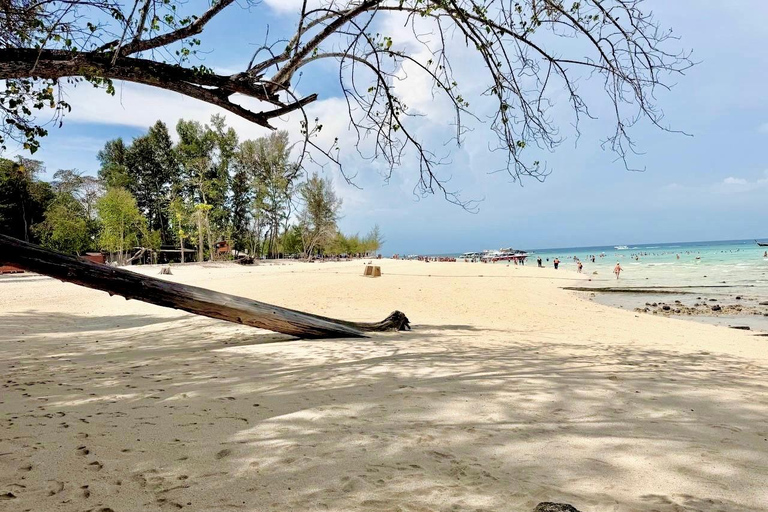 Krabi: Phi Phi Day Tour for First-Time Visitors + Pickup