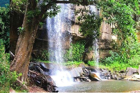 Kwale: Private day tour to Shimba Hills with Picnic lunch