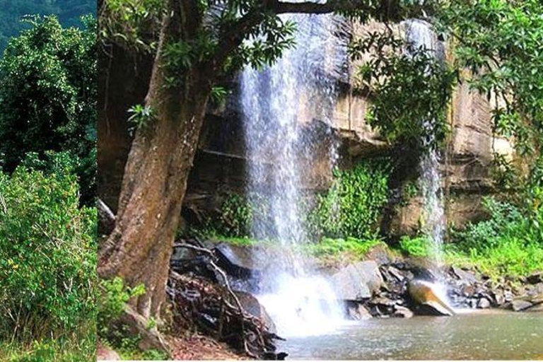 Kwale: Private day tour to Shimba Hills with Picnic lunch