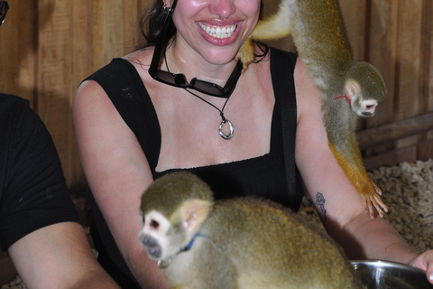 Punta Cana: Monkey Sanctuary, Farm & Cenote Swim Combo