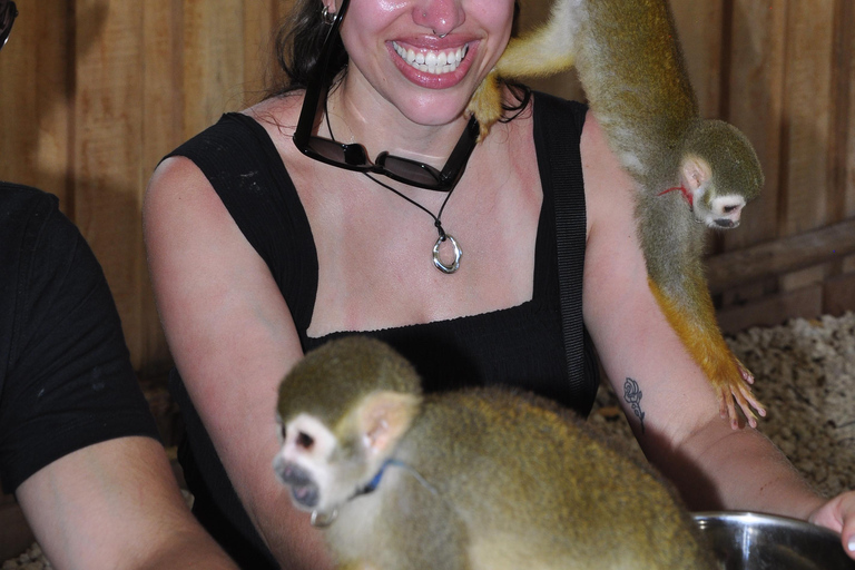 Punta Cana: Monkey Sanctuary, Farm & Cenote Swim Combo