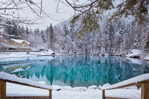 Depuis Zurich : Excursion d&#039;une journée au lac Blausee et au charmant Interlaken
