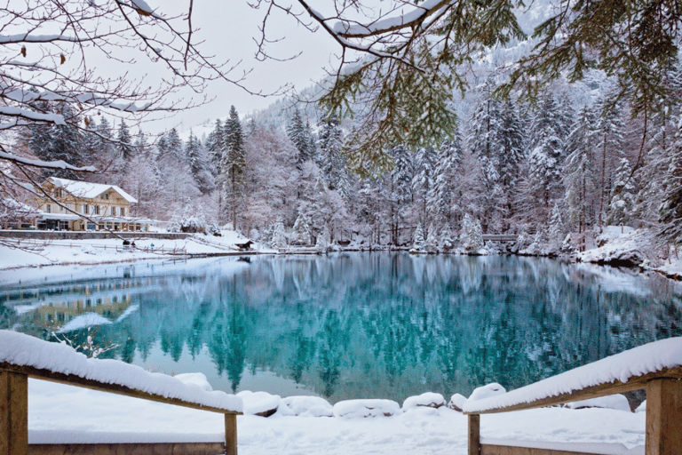 Depuis Zurich : Excursion d&#039;une journée au lac Blausee et au charmant Interlaken