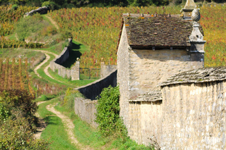 "Route des grands crus", degustazione privata di vini in Borgogna!