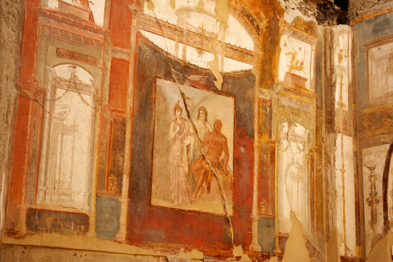 Herculanum : Visite privée avec chauffeur depuis NaplesOption avec chauffeur et billets - pas de visite guidée incluse