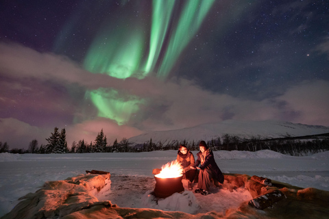 Tromso : Camps d&#039;observation du ciel