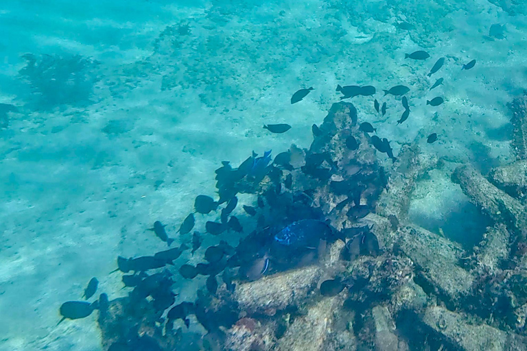 Fort Lauderdale: Ocean Reef Snorkel Tour w/ Snacks & Drinks