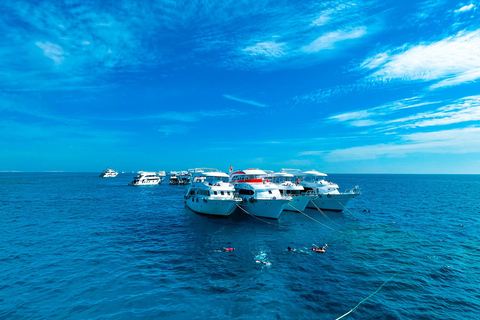 Sharm el-Sheikh: Ras Mohammed & White Island Dive & Snorkel Option 2: Certified Divers - Including Equipment