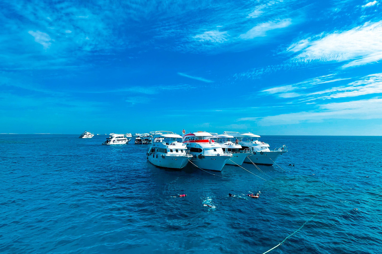 Sharm el-Sheikh: Ras Mohammed & White Island Dive & Snorkel Option 2: Certified Divers - Including Equipment