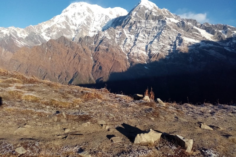 Z Pokhary: 5-dniowy prywatny trekking do bazy Mardi Himal
