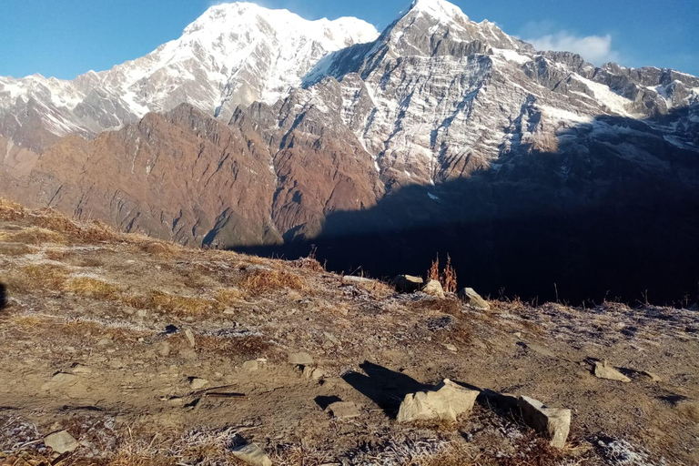 Pokhara: 7-Day Mardi Himal Base Camp Trek with Safari Tour