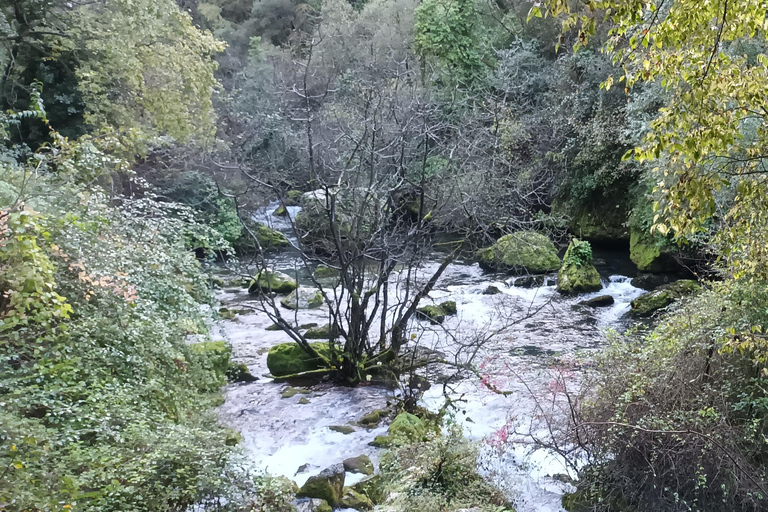 Fontaine De Vaucluse and Isle Sur La Sorgue by electric bike ALL-INCLUSIVE PACKAGES: 3 PACKAGES: DISCOVERY + MEDIAN 1 + MEDIAN 2