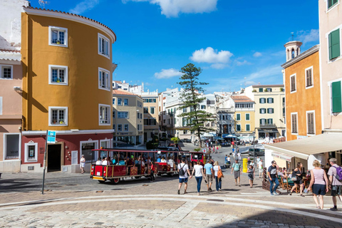 Boottocht in de haven van Mahon met markt en jeneverstokerijBoottocht in de haven van Mahon met Mahon-markt en gin-distilleerderij