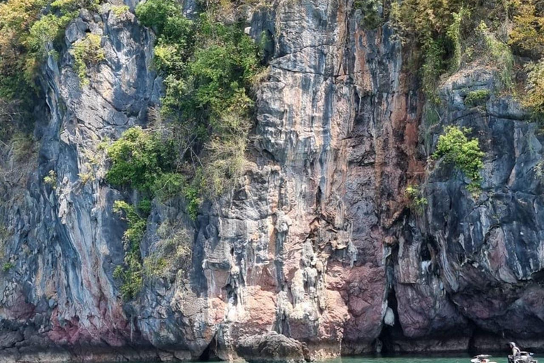 Langkawi: Tanjung Rhu Mangrove Speedboat TourShared Boat with Private Transfer and Lunch