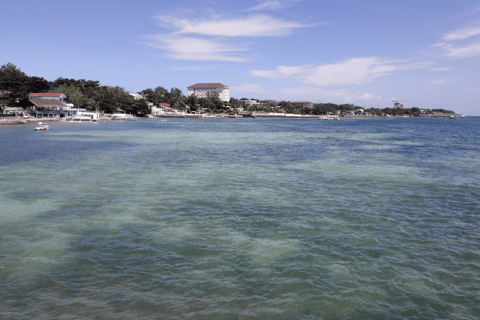 Tour de la ciudad de Cebú y Lapu-Lapu con almuerzo en la Casa del Lechón