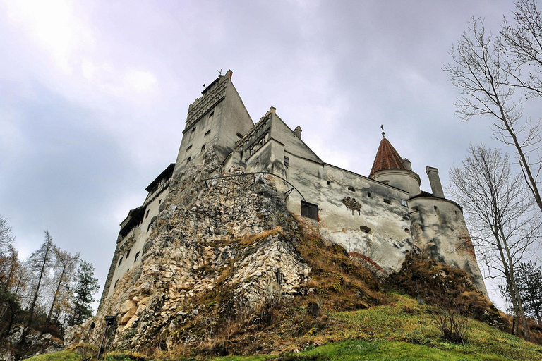 Bran Castle Small-Group Day Tour from Brașov | Local Guide