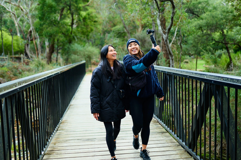 Gold Coast: Tour to Byron Bay, Lighthouse & Beaches