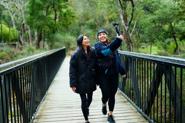 Gold Coast: Tour to Byron Bay, Lighthouse & Beaches