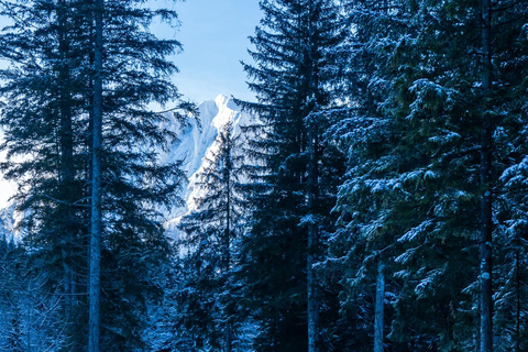 From Ljubljana/Bled: Peričnik Waterfall Winter Hike From Bled — Pickup at your accommodation