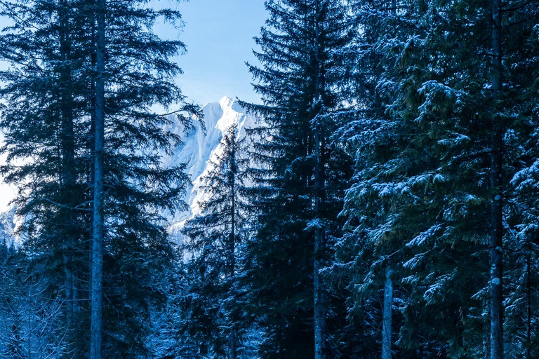 From Ljubljana/Bled: Peričnik Waterfall Winter Hike From Bled — Pickup at your accommodation