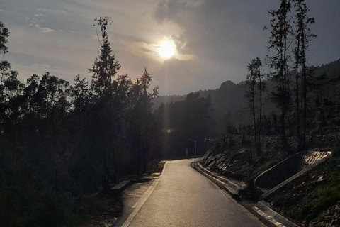Addis Ababa: Entoto Hills Scenic Drive