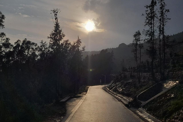 Addis Ababa: Entoto Hills Scenic Drive