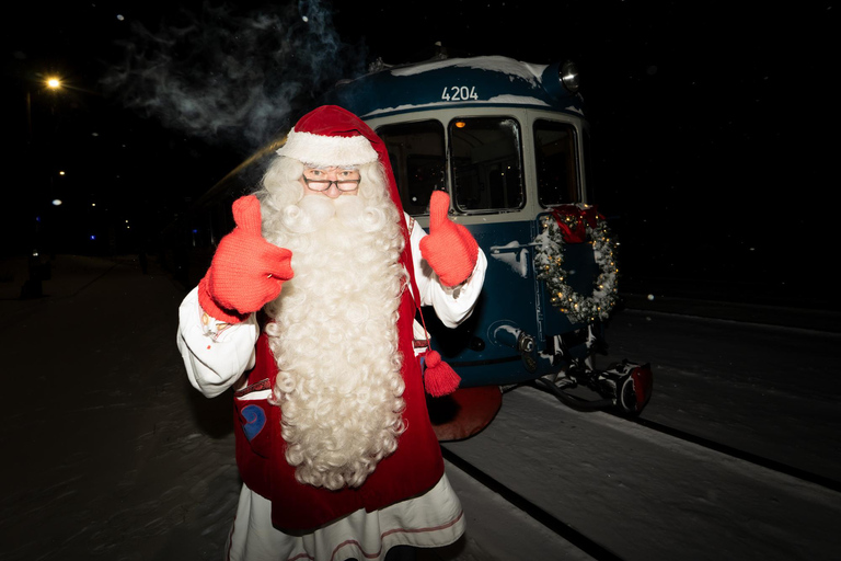 Rovaniemi Insider: Night train in Winter Forest