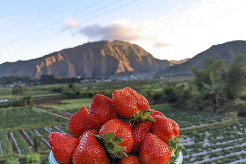 Ultiem avontuur: Tiu Kelep waterval &amp; Sembalun dagtour