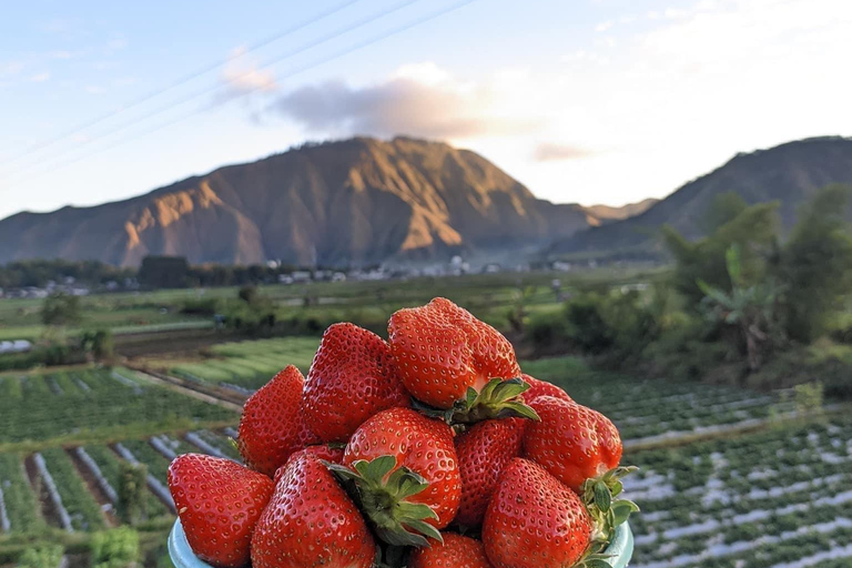 Ultiem avontuur: Tiu Kelep waterval &amp; Sembalun dagtour