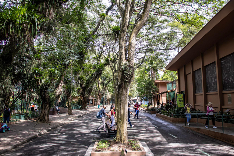 São Paulo : billet d'entrée pour le zoo de São Paulo
