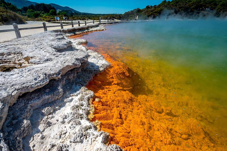 Rotorua: Wai-O-Tapu, secuoyas y lugar secreto en una excursión de un día