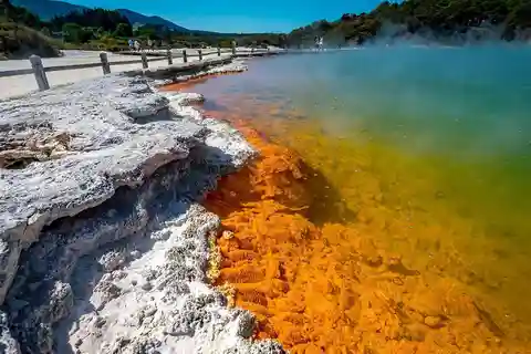 Auckland: Rotorua Wai-O-Tapu, Te Puia med Haka