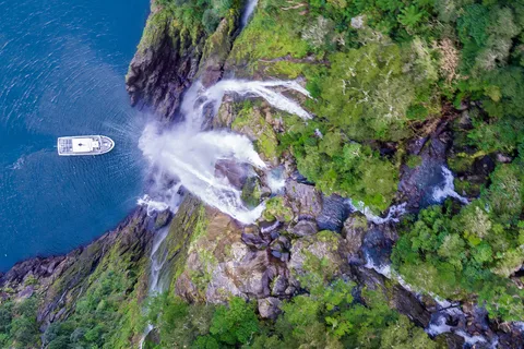 Desde Queenstown: Excursión y crucero por Milford Sound con almuerzo