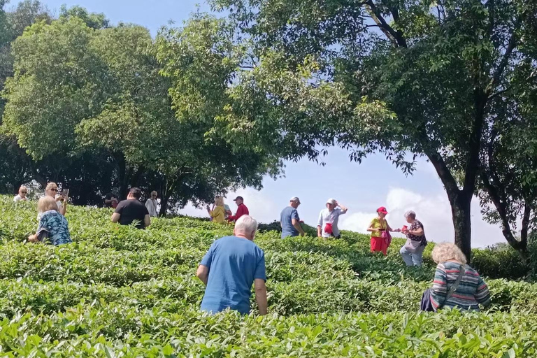 Guilin: 1-Day Cultural Hike of Longji & Ancient Tea Tasting