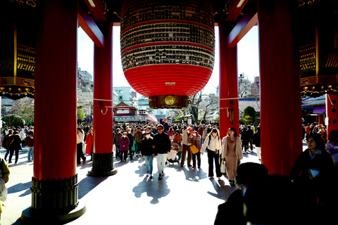 Tokyo: 4-Hour TeamLab Planets & Asakusa Express Tour