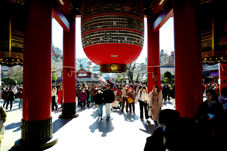 Tokyo: 4-Hour TeamLab Planets & Asakusa Express Tour