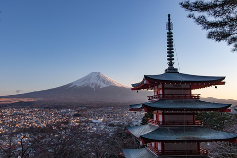 From Tokyo: 5 Best Mount Fuji Photo Spots Private Day Trip