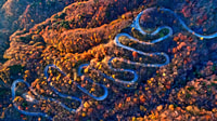 Nikko Full-Day Private Sightseeing Day Trip - Housity