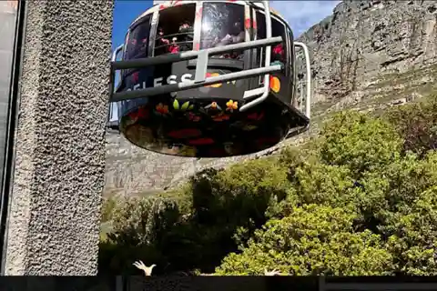 Cape Town: Table Mountain Half Day Tour