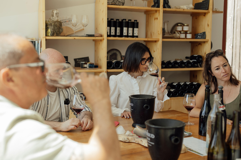 Rhône Valley: Vineyard Tour with Tastings and Transportation Included Rhône Valley: Winery Tour with Food Tastings and Transportation Included