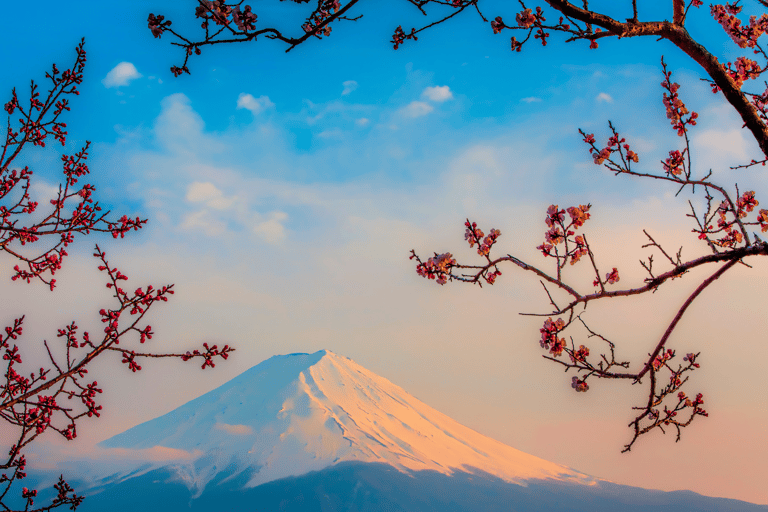 Osaka, Kyoto & Nara 5 Days Tour with Accomodation Osaka, Kyoto & Nara 5 Days Tour with Accomodation