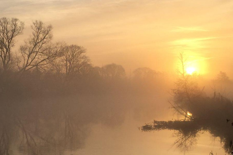 Brandenburg: Canoe Trip with Dinner, Sauna, and Whirlpool 1,5h From Berlin: Canoe Trip, Dinner an Wellness
