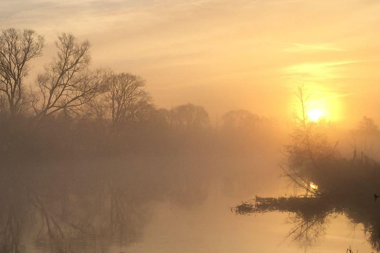 Brandenburg: Canoe Trip with Dinner, Sauna, and Whirlpool 1,5h From Berlin: Canoe Trip, Dinner an Wellness