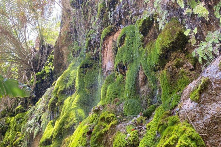 Escursione privata di un giorno a Wadi Tiwi, Fins Beach e Bimmah SinkholeEscursione di un giorno a Wadi Tiwi, Fins Beach e Bimmah Sinkhole