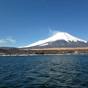 Shimizu, Shizuoka: Shore Excursion for Cruise Guests (Group)