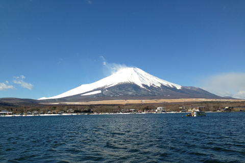 Shimizu, Shizuoka:Shore Excursion for Cruise Guests（Group）